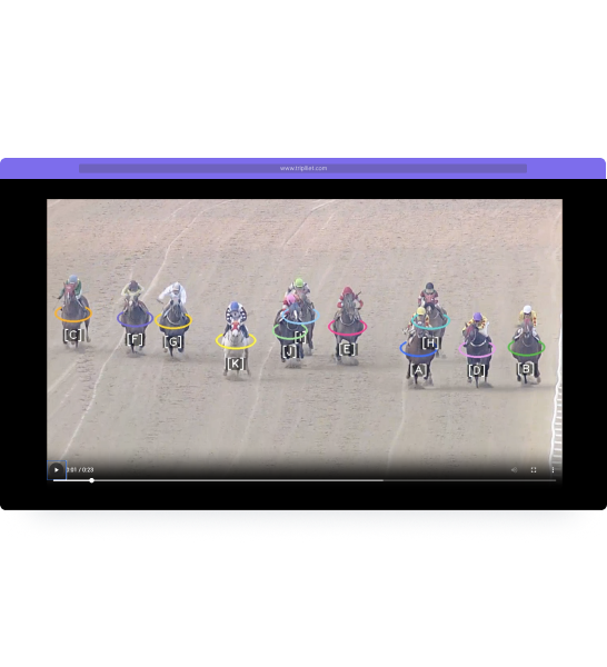 심의 장면 선별