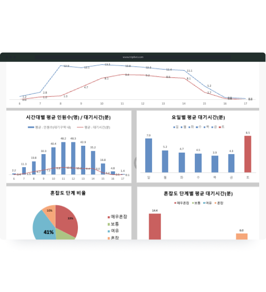 리포트 & 비교 분석