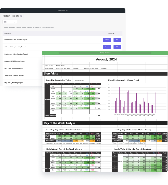 리포트 & 비교 분석