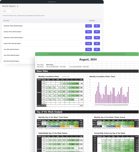 리포트 & 비교 분석
